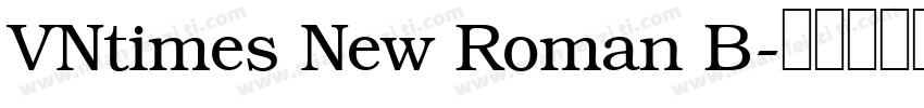 VNtimes New Roman B字体转换